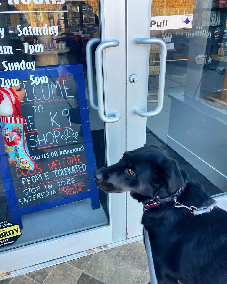 Image for The K9 Shop with ID of: 6405469
