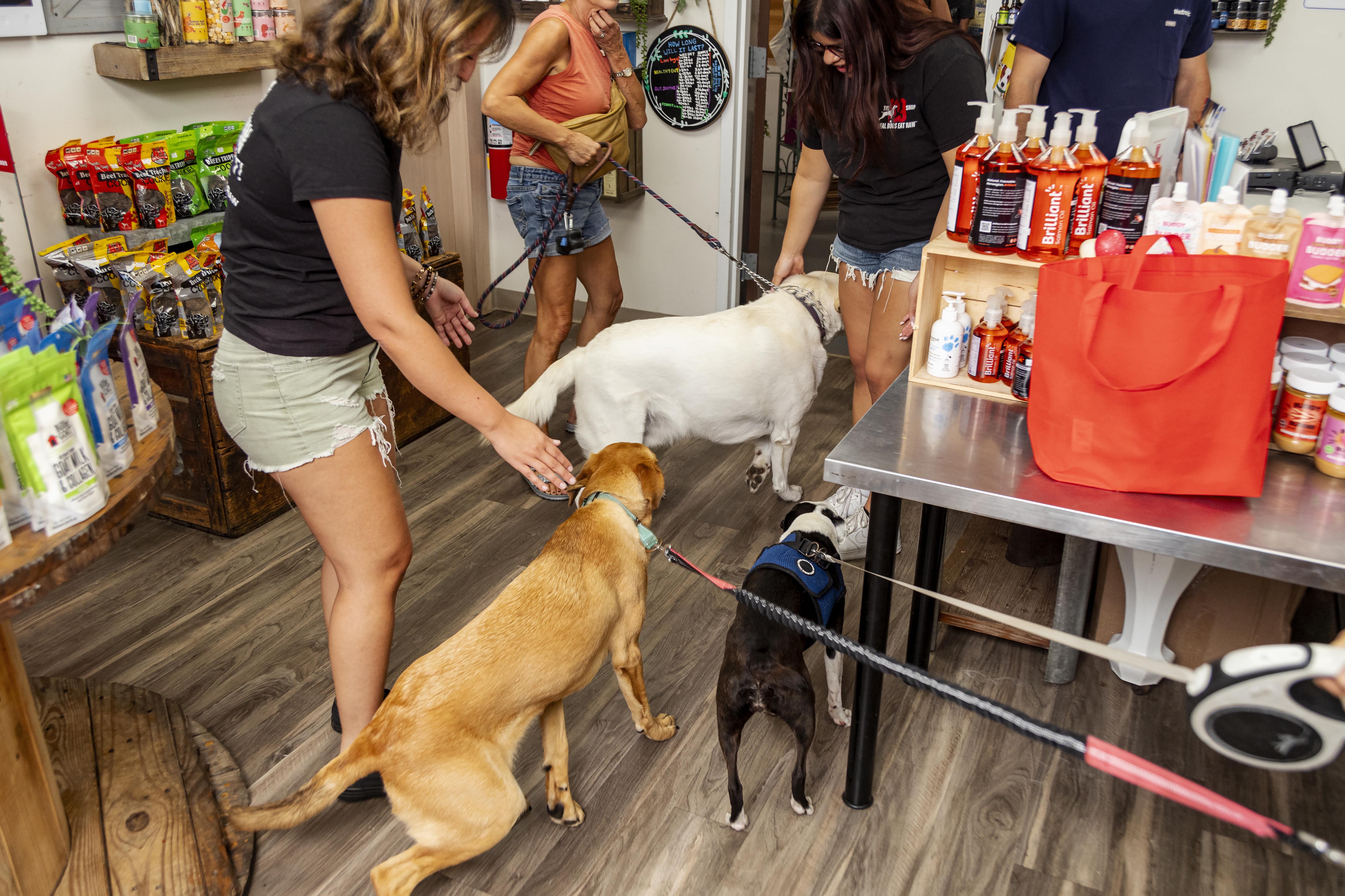 Image for The K9 Shop with ID of: 6405472