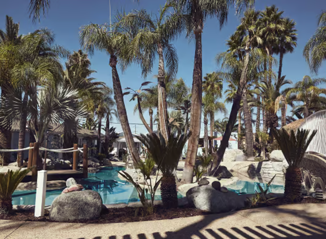 Image for We Level Up California with ID of: 6409586