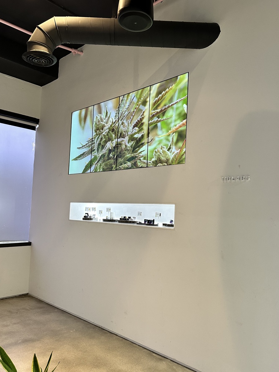Image for The Flowery Miami with ID of: 6410002