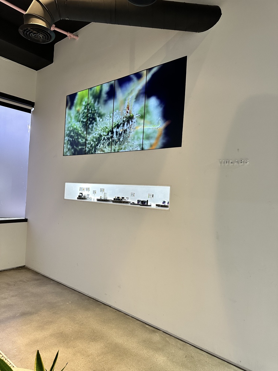 Image for The Flowery Miami with ID of: 6410009