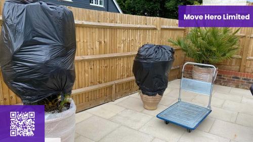 Image for Move Hero Limited with ID of: 6410699