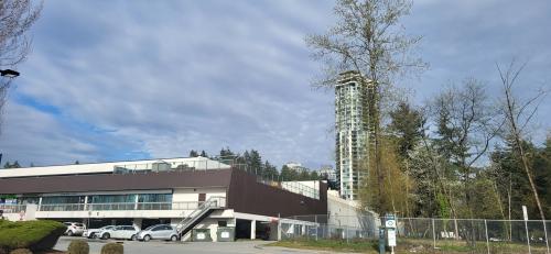 Image for StayinCanada Immigration with ID of: 6411995