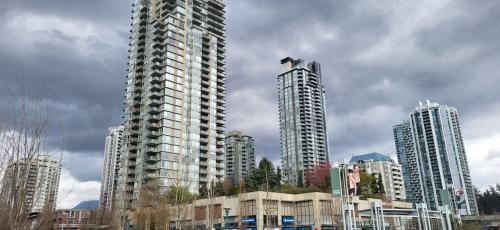Image for StayinCanada Immigration with ID of: 6411998