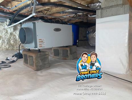 Image for Crawl Space Brothers with ID of: 6412460