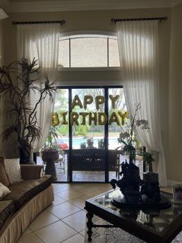 Image for Miami Vice Blinds with ID of: 6413300