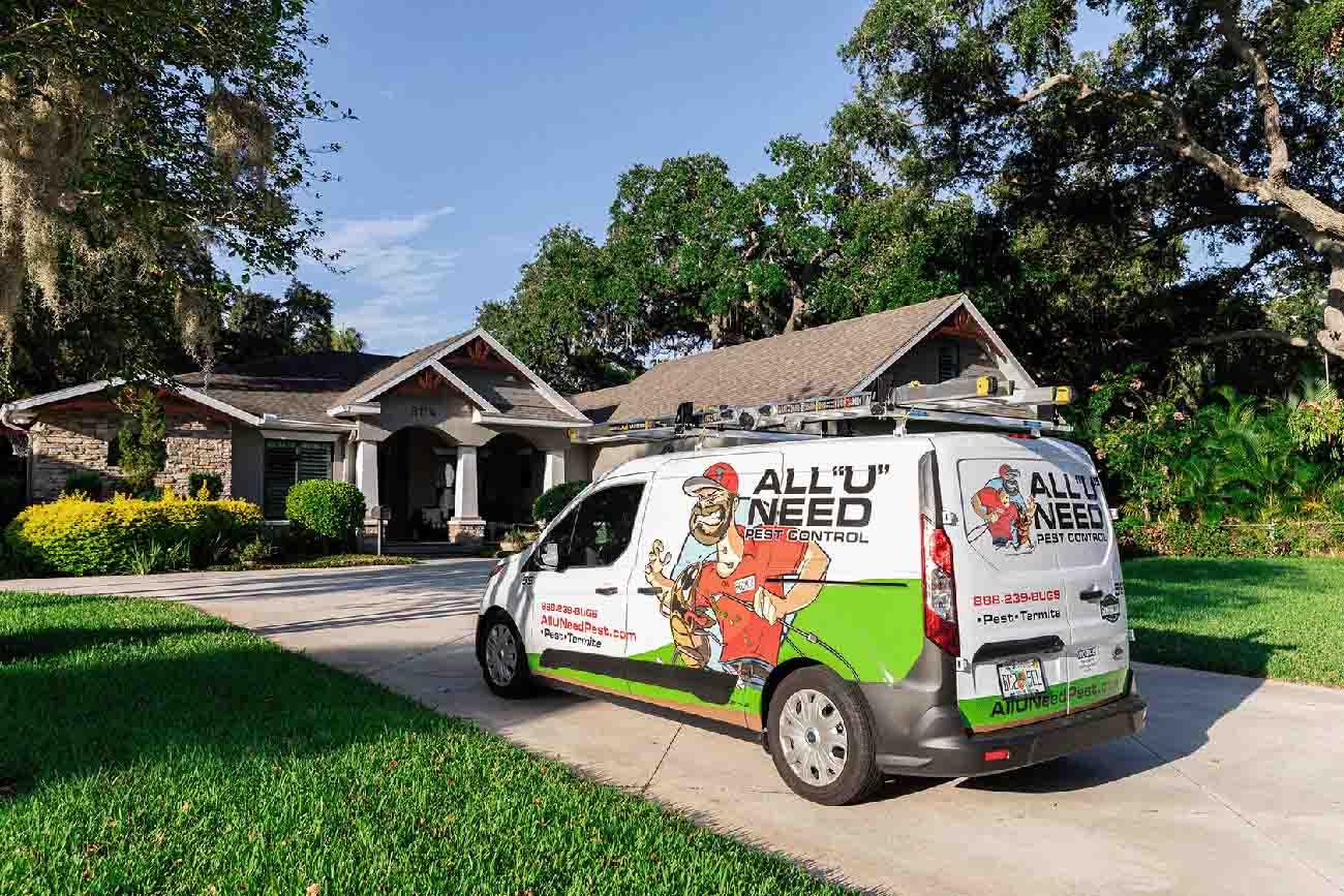Image for All U Need Pest Control Tampa with ID of: 6414757