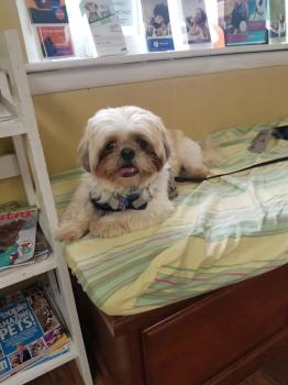 Image for Norbeck Animal Clinic with ID of: 6414768