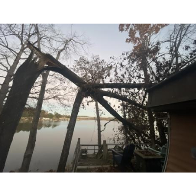 Image for Gray's Tree Services with ID of: 6415401