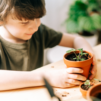 Image for Pickney Early Learning with ID of: 6415553