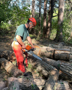 Image for Sweet Carolina Tree Care with ID of: 6416351
