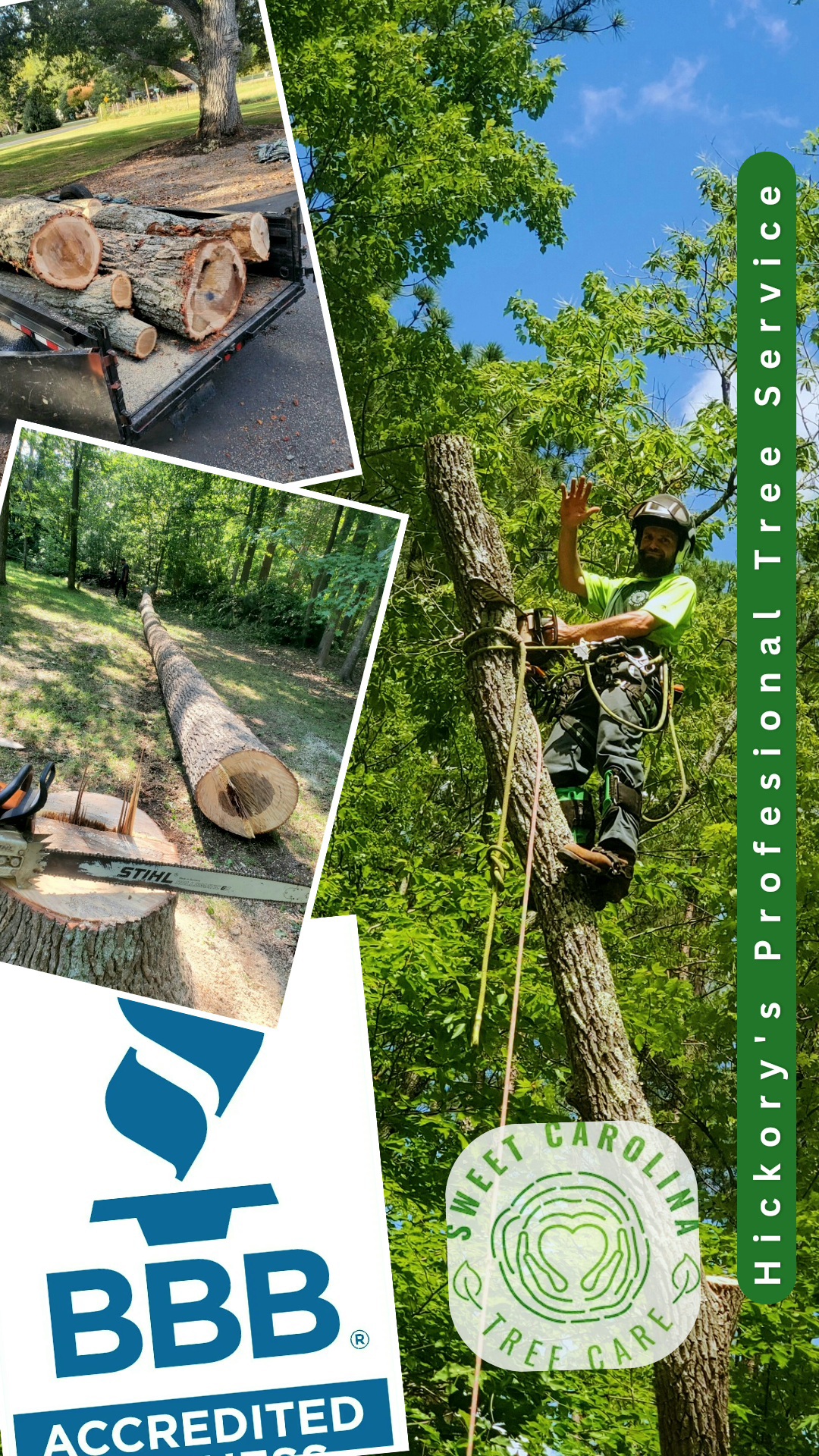 Image for Sweet Carolina Tree Care with ID of: 6416353