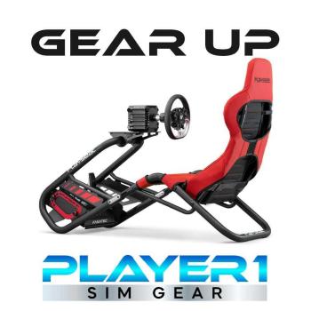 Image for Player1 Sim Gear with ID of: 6417329
