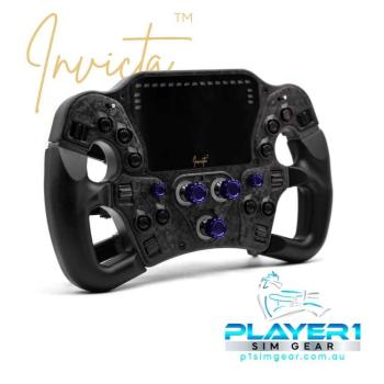 Image for Player1 Sim Gear with ID of: 6417332