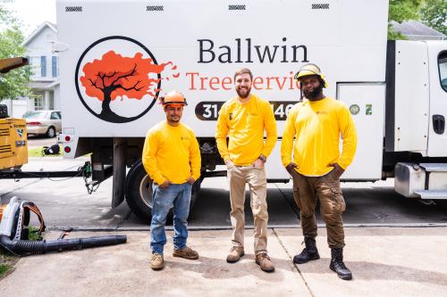 Image for Ballwin Tree Service with ID of: 6417529