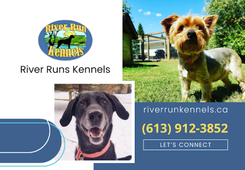 Image for River Run Kennels with ID of: 6418977