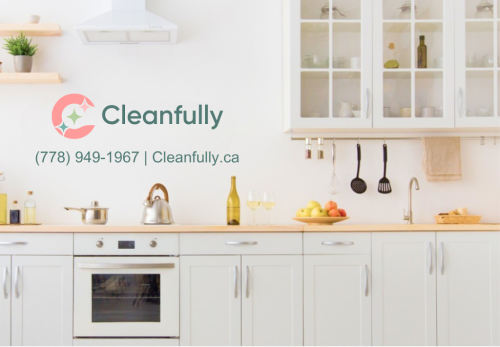Image for Cleanfully with ID of: 6419115
