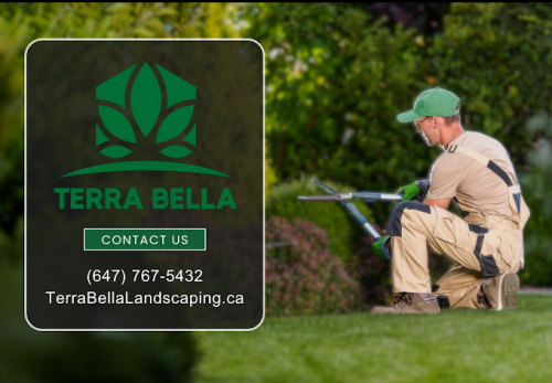 Image for Terra Bella Landscaping with ID of: 6419197
