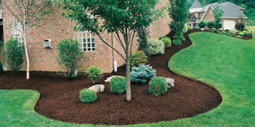 Image for Terra Bella Landscaping with ID of: 6419205