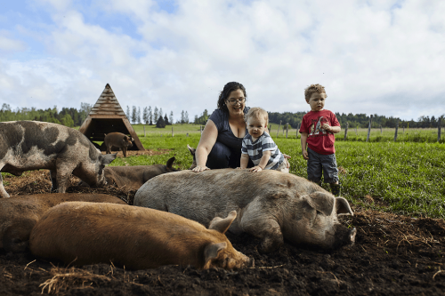 Image for Ferme Eboulmontaise with ID of: 6420813