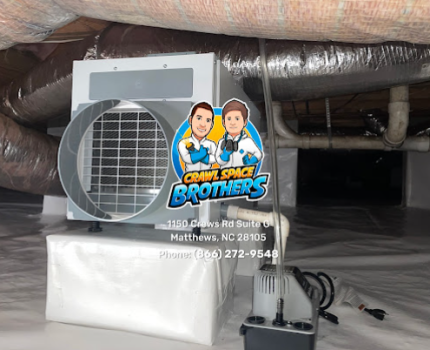 Image for Crawl Space Brothers with ID of: 6420923