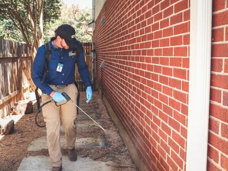 Image for Alta Pest Control with ID of: 6422618