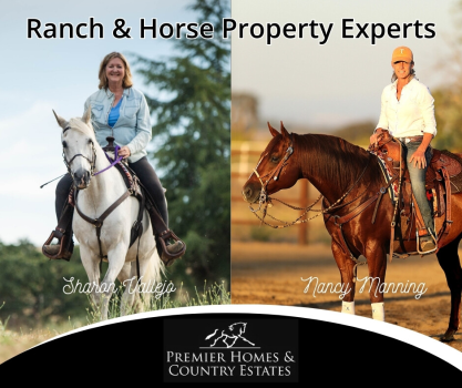 Image for Premier Homes & Country Estates with ID of: 6424639