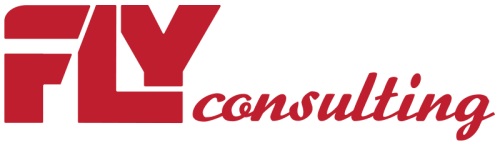 Image for Fly Consulting with ID of: 6424996