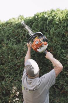 Image for Greenscape Landscaping with ID of: 6425158