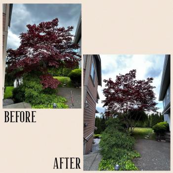Image for West Rain Landscaping with ID of: 6425397