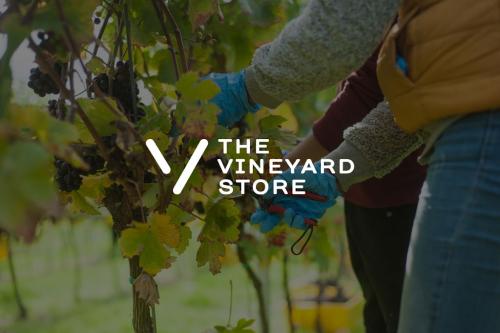 Image for The Vineyard Store with ID of: 6426159
