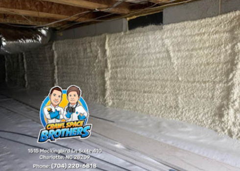 Image for Crawl Space Brothers with ID of: 6426423
