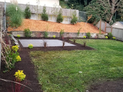 Image for Seattle Sustainable Landscapes with ID of: 5756514
