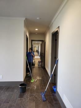 Image for Roochii Cleaning with ID of: 6427034