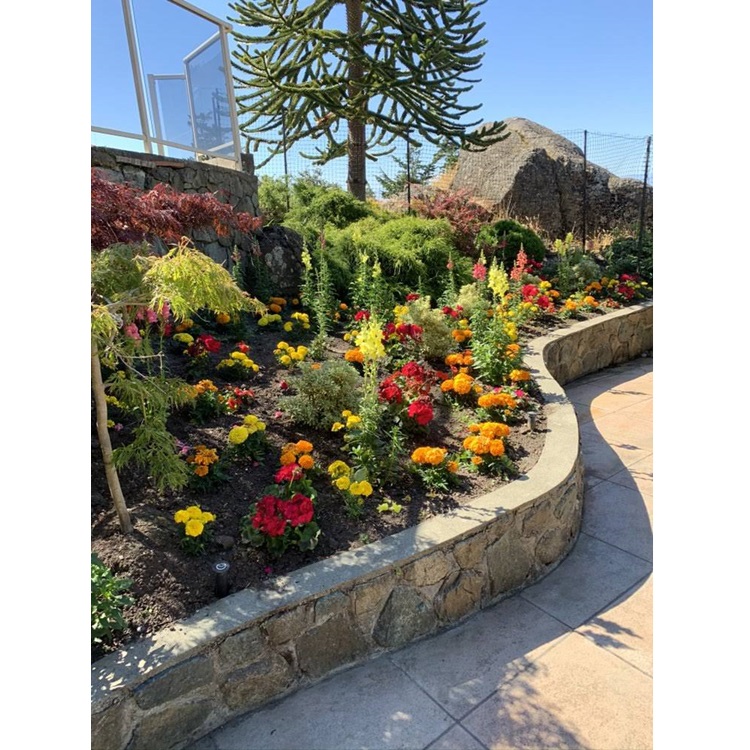 Image for Sol Landscaping with ID of: 6428622