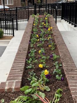 Image for Complete Grounds Commercial Landscaping with ID of: 6428949