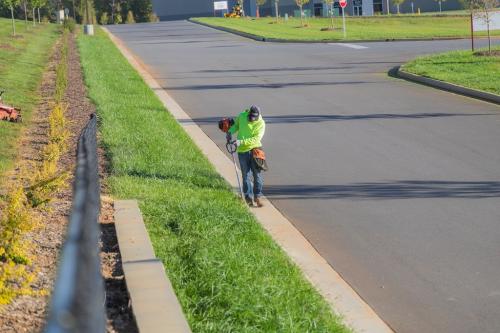 Image for Complete Grounds Commercial Landscaping with ID of: 6428950