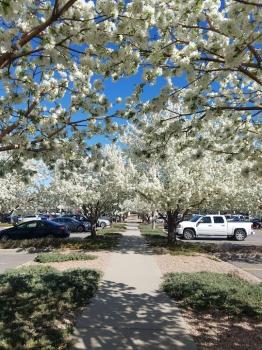 Image for Martinson Services with ID of: 6432206