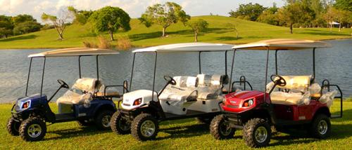 Image for Classic Turf Equipment with ID of: 6432531