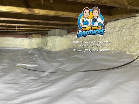Image for Crawl Space Brothers with ID of: 6432549