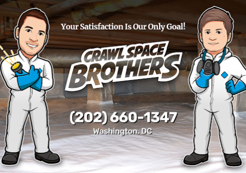 Image for Crawl Space Brothers with ID of: 6432618