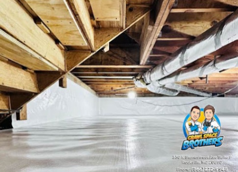 Image for Crawl Space Brothers with ID of: 6432703