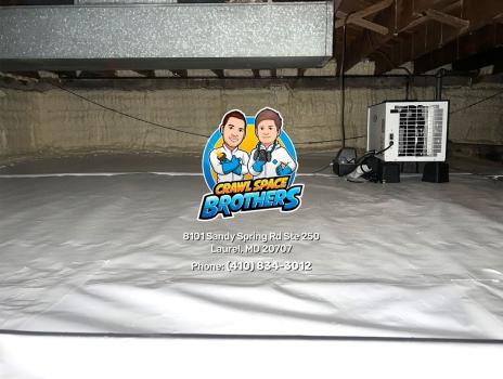 Image for Crawl Space Brothers with ID of: 6432880