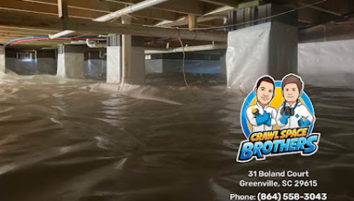 Image for Crawl Space Brothers with ID of: 6434445