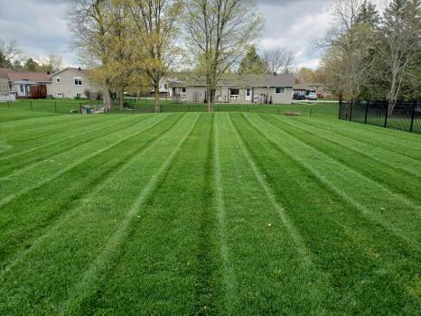 Image for OTC Landscaping with ID of: 6434658