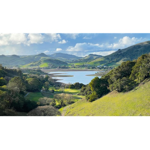 Image for Marin Web Design with ID of: 6434773