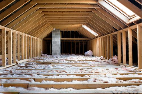 Image for Classic Pest Control & Insulation with ID of: 6435038