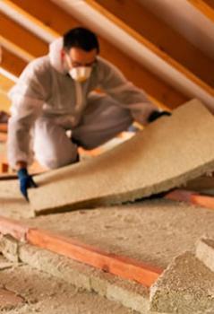 Image for Classic Pest Control & Insulation with ID of: 6435045