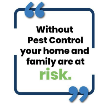 Image for Classic Pest Control & Insulation with ID of: 6435046