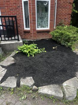 Image for Ben's Outdoor Maintenance with ID of: 6436439